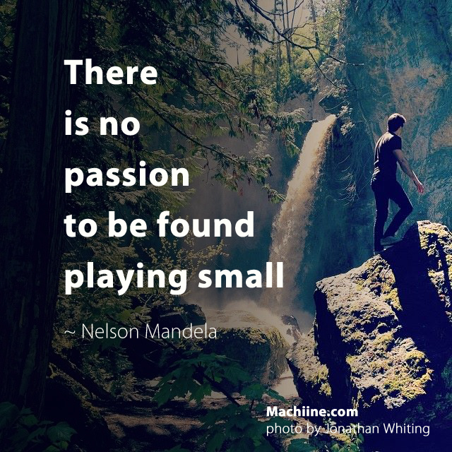 There is no passion to be found playing small - Nelson Mandela 